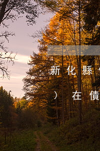 新化縣債務(wù)律師收費(現(xiàn)在債務(wù)律師費用是多少錢)