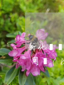 新化縣債務(wù)追討律師費(fèi)用標(biāo)準(zhǔn) 新化縣律師咨詢