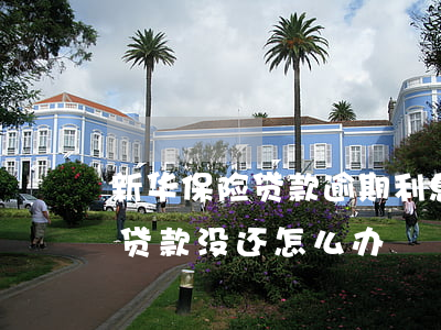 新华保险贷款逾期利息(新华保险到期了,保险贷款没还怎么办)