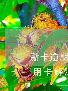 新卡逾期70天怎么處理好-逾期90天信用卡解凍