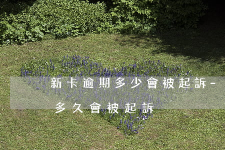 新卡逾期多少會被起訴-信用卡35萬逾期多久會被起訴