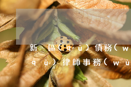 新吳區(qū)債務(wù)律師 新吳區(qū)律師事務(wù)所電話