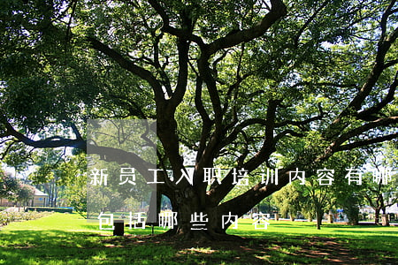新员工入职培训内容有哪些(新员工上岗培训包括哪些内容)