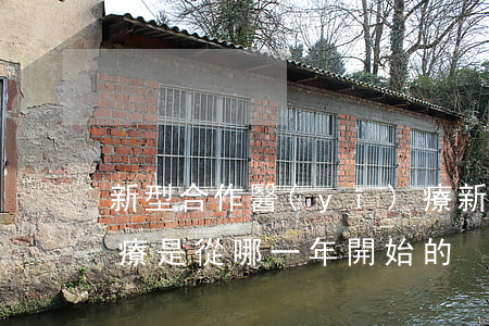 新型合作醫(yī)療，新型合作醫(yī)療是從哪一年開始的
