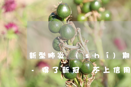 新型肺炎時(shí)期信用卡還不上么辦-得了新冠還不上信用卡