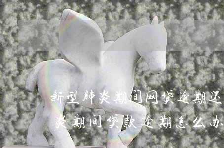 新型肺炎期间网贷逾期还款可以吗-新冠肺炎期间贷款逾期怎么办