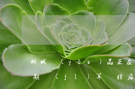 新城優(yōu)品正在進(jìn)行逾期計(jì)算請稍后-新城優(yōu)品逾期一天
