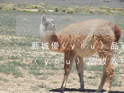 新城優(yōu)品逾期2個月還款(新橙優(yōu)品放款中多久)