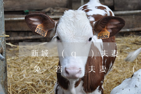 新城區(qū)夫妻債務(wù)糾紛律師免費咨詢-夫妻債務(wù)糾紛案例