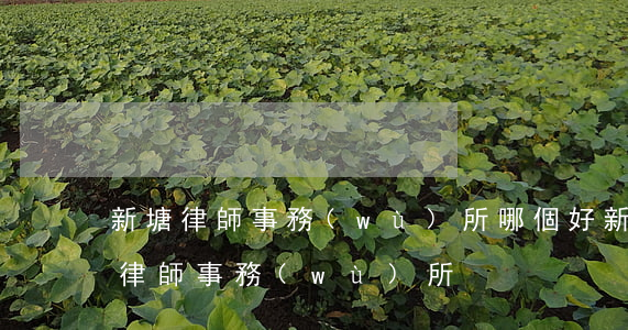 新塘律師事務(wù)所哪個好(新干有幾個律師事務(wù)所?)