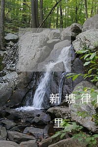新塘律師事務所哪個好(蓮塘律師事務所在哪里)