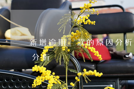 新增逾期貸款的原因分析(個人貸款逾期原因分析)