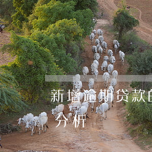 新增逾期贷款的原因分析(个人贷款逾期原因分析)