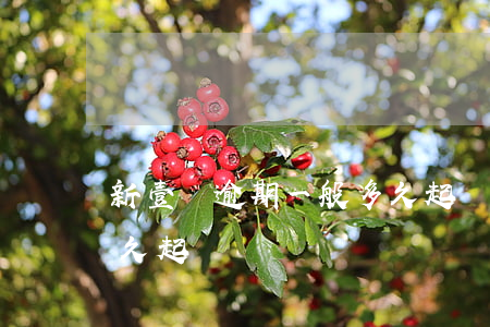 新壹貸逾期一般多久起訴(新壹貸逾期一般多久起訴)