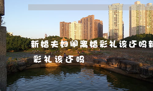 新婚夫妇闹离婚彩礼该还吗(新婚夫妇闹离婚彩礼该还吗)