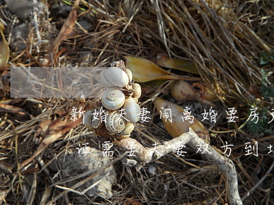 新婚夫妻闹离婚要房产证吗(离婚了,办理房产证需要夫妻双方到场吗)