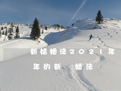 新婚姻法2021年倆孩怎么離婚(2021年的新離婚法)
