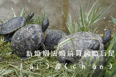 新婚姻法婚前買房婚后是否屬于共同財(cái)產(chǎn)（房子出售或拆遷后新買的房產(chǎn)有兩種情況）