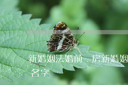 新婚姻法婚前買房(新婚姻法婚前買房寫女方名字)