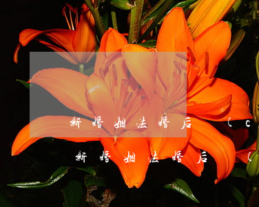 新婚姻法 婚后財(cái)產(chǎn)(新婚姻法婚后財(cái)產(chǎn)不平分)