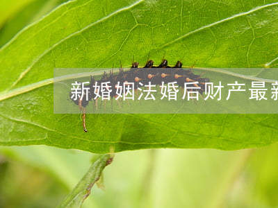 新婚姻法婚后财产(最新法律婚姻法婚后财产)
