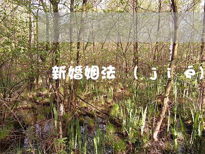 新婚姻法結(jié)婚年齡
