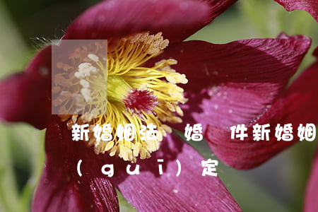 新婚姻法離婚條件(新婚姻法離婚條件怎么規(guī)定)