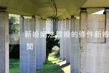 新婚姻法離婚的條件(新婚姻法離婚的條件 新聞)