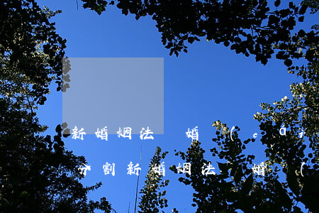新婚姻法離婚財(cái)產(chǎn)分割(新婚姻法離婚財(cái)產(chǎn)分割)