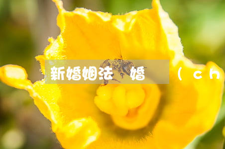 新婚姻法離婚財產(chǎn)分割