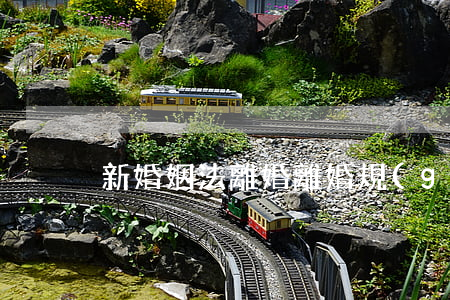 新婚姻法 離婚(離婚規(guī)定)