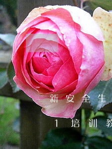 新安全生产法2021(新安全生产法2021培训教案)