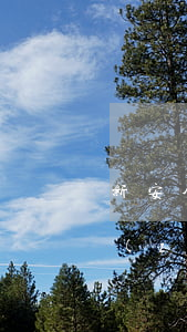 新安全生產(chǎn)法-負(fù)責(zé)人篇法律解析