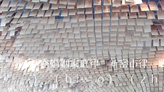 新密婚姻家庭律師(新密市律師收費(fèi)標(biāo)準(zhǔn))