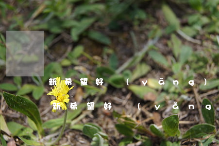 新希望好養(yǎng)貸逾期了怎么辦-新希望好養(yǎng)貸業(yè)務(wù)平臺電話