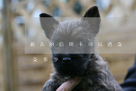 新弄的信用卡可以透支嗎(剛辦信用卡可以透支多少)