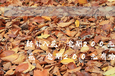 新引入花唄逾期200元有啥后果-新引入花唄逾期200元有啥后果嗎