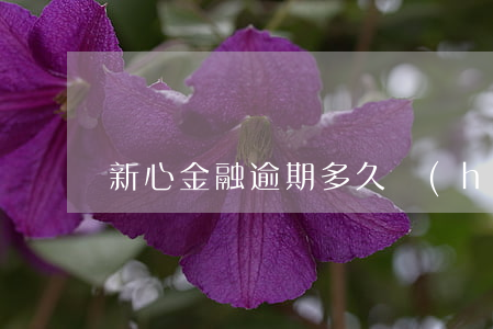 新心金融逾期多久會(huì)起訴