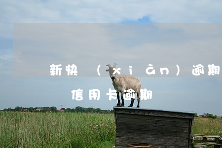 新快現(xiàn)逾期影響信用卡嗎 快貸說信用卡逾期