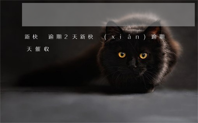 新快線逾期2天(新快現(xiàn)逾期幾天催收)