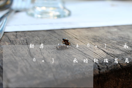 新房產(chǎn)繼承怎么辦(房產(chǎn)繼承的新政策是什么)
