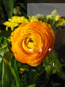 新房申請貸款逾期交房(逾期交房貸會(huì)怎樣)