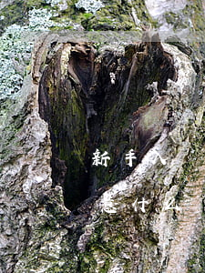 新手入門(mén)信用卡（新手用信用卡注意什么）