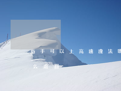 新手可以上高速違法嗎(新手自己上高速有什么處罰)