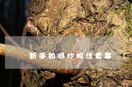 新手如何炒股注意事項(xiàng)