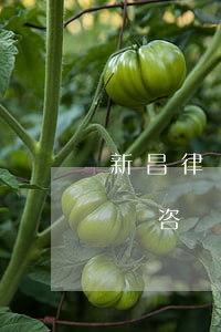 新昌律師事務(wù)所哪個好(新昌律師電話咨詢免費)