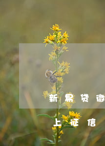 新易贷微贷款逾期11天(恒易贷逾期一天就上征信)