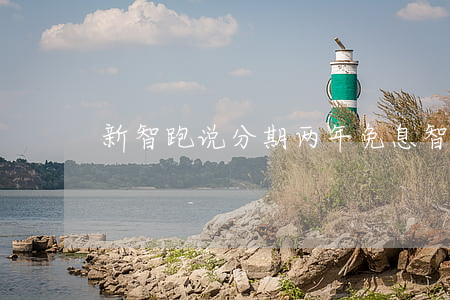 新智跑说分期两年免息(智跑2021款优惠)