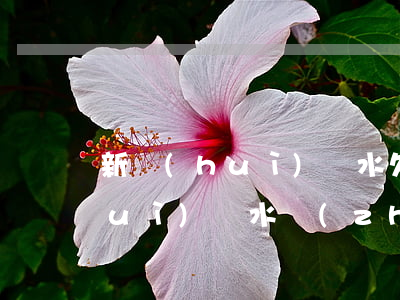 新會(huì)雙水欠信用卡名單(新會(huì)雙水鎮(zhèn)最新規(guī)劃圖)