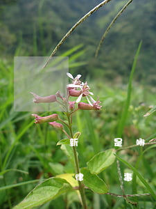 新會是哪個律師律師事務(wù)所好(新會律師事務(wù)所免費(fèi)咨詢)